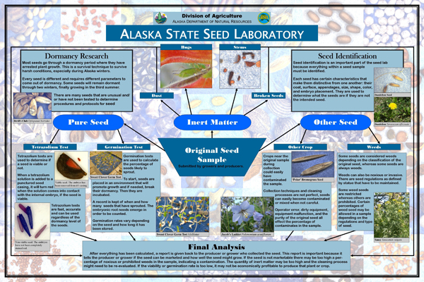 Seed Lab Poster