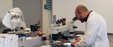 A seed scientist examines a sample at the Alaska State Seed Laboratory