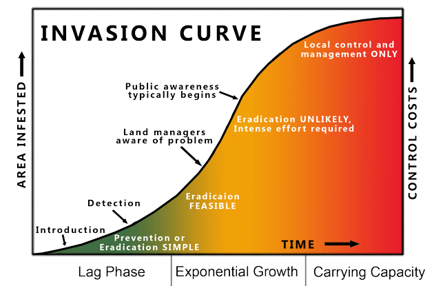 Growth Curve