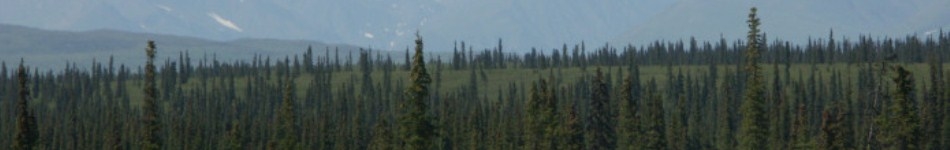 Alaska Photo