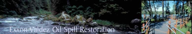 evos restoration