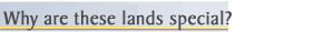 Why special