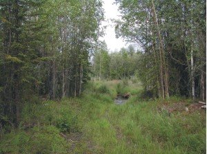 Photo of Colorado Creek