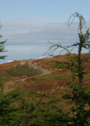 Trail at Hilltop