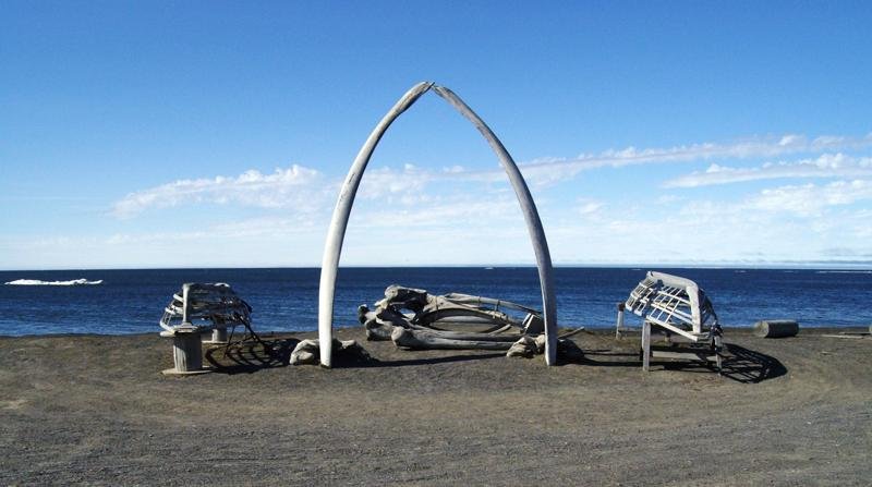 Whale Bone Arches