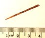 Small bone,eyed needle