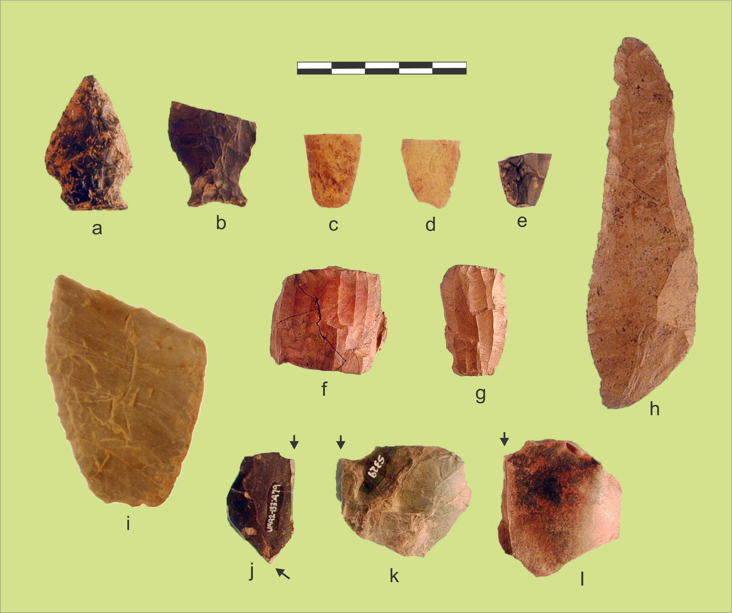 Swan Point Cultural Zone 1a artifacts: a. notched point; b. “fish-tail” notched point fragment; c.-e. lanceolate point base fragments; f., g. tabular microblade cores; h. side scraper; i. thin bifacial knife; j.-l. Donnely burins.