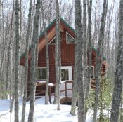 Beluga Cabin Bird Creek