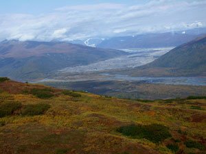Tokositna View