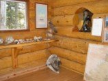 Hawk Display at Big Bay Ranger Station