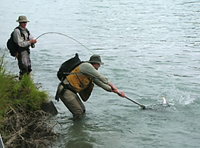 Kenai Fishing