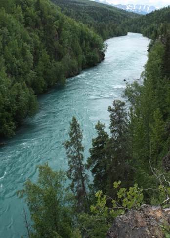 Kenai River Hiking scenes