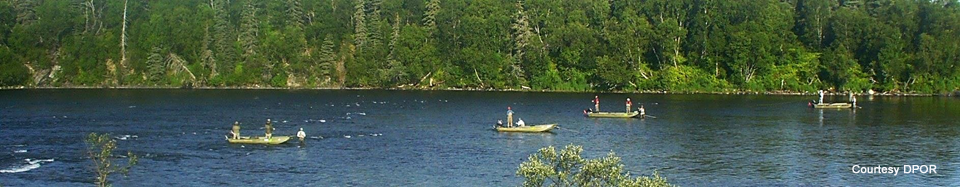 Many fishing on river