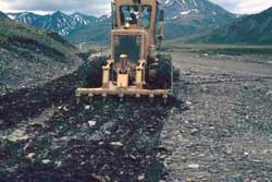 An area being prepared for natural revegetation by using a ripper bar on a grader.