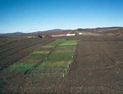 An advanced evaluation plot on a mine site near Nome.