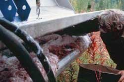 Removing harvested fireweed from a flail vac.