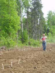 Broadcast seeding using shoulder-carried seeders