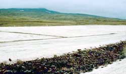 Well-placed excelsior blankets being used to control erosion prior to vegetation growth.