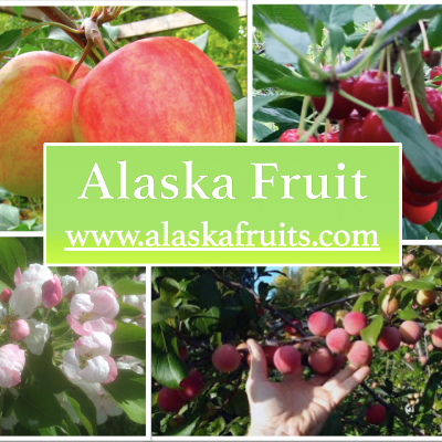 Alaska Fruit logo