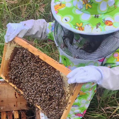 Royal Alaskan Honey logo