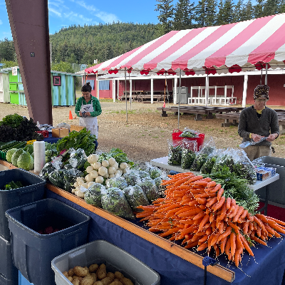 Four Winds Farm at the Haines Farmers Market logo