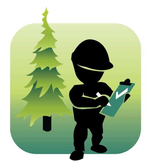 Site Inspection - Large Scale Icon