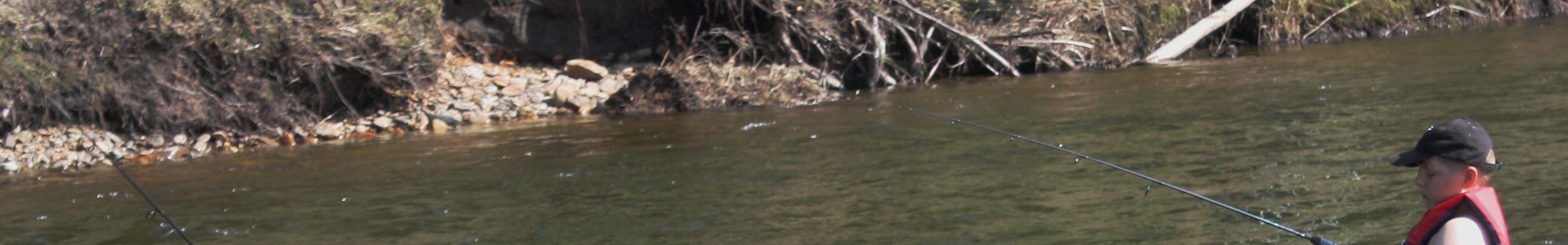 Image of man fishing in river