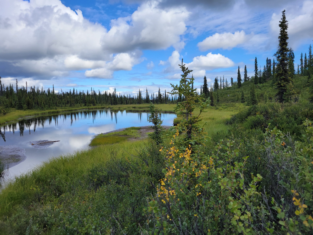 Small Lakes - Alaska Division of Mining, Land, and Water