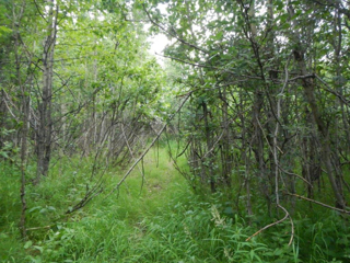 Interior of parcel 1150