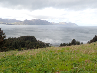 Kupreanof Shores