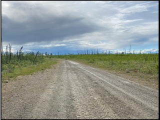 NENANA-TOTCHAKET SUBDIVISION, PHASE 1B (AGRICULTURAL LOTS)