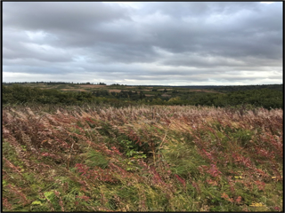 NORTH FORK MICRO AG (AGRICULTURAL LOTS)