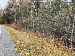 Old Sterling Highway North