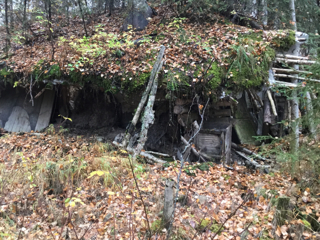 Old cabin on Tract A