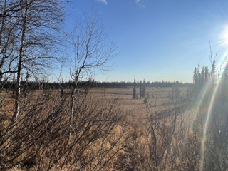 Peters Creek