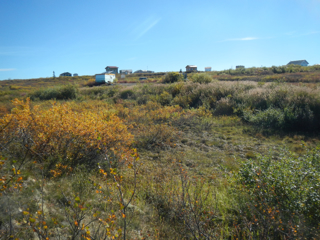 Summit Lake Heights