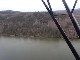 East shore of West Twin Lake