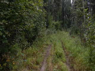 Wind River Rd is an ATV trail