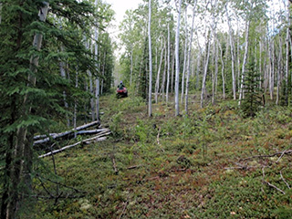 Looking west along an access trail within Cascaden Subdivision. 