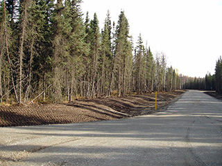 Looking north along North Sandhill Crane Street.