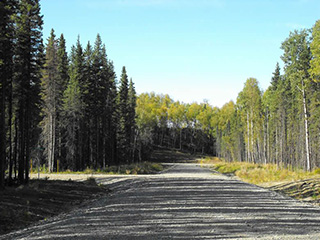 Looking west down West Woodpecker Circle.