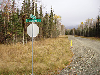 Intersection of N. Sandhill Crane St. and W. Shampine Ln. 
