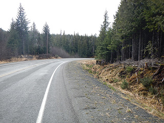 View from the Coffman Cove Road near Coffman Loop Phase I Subdivision.