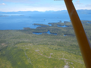 Aerial view of the Coffman Cove area.