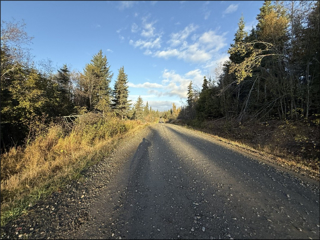 FRITZ CREEK HEIGHTS