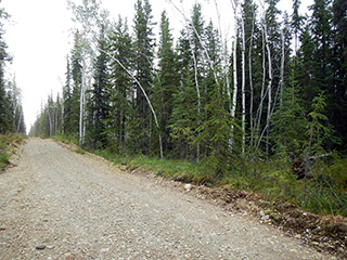 A gravel road in the Glenn Subdivision.