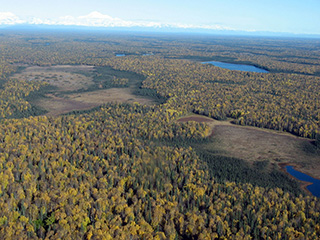 A view of the Kahiltna area with Denali in the distance.