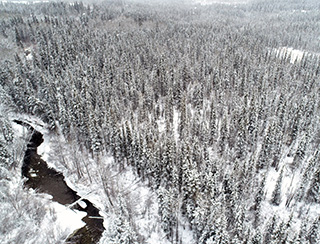 Moose Creek runs behind Lots 7 and 5 of Block 1 of Memory Lane Subdivision. 
