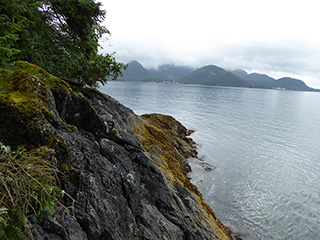 View of Sitka from the subdivision.