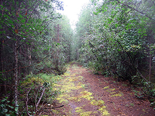 Access throughout the subdivision is via pioneer roads and ATV trails. 